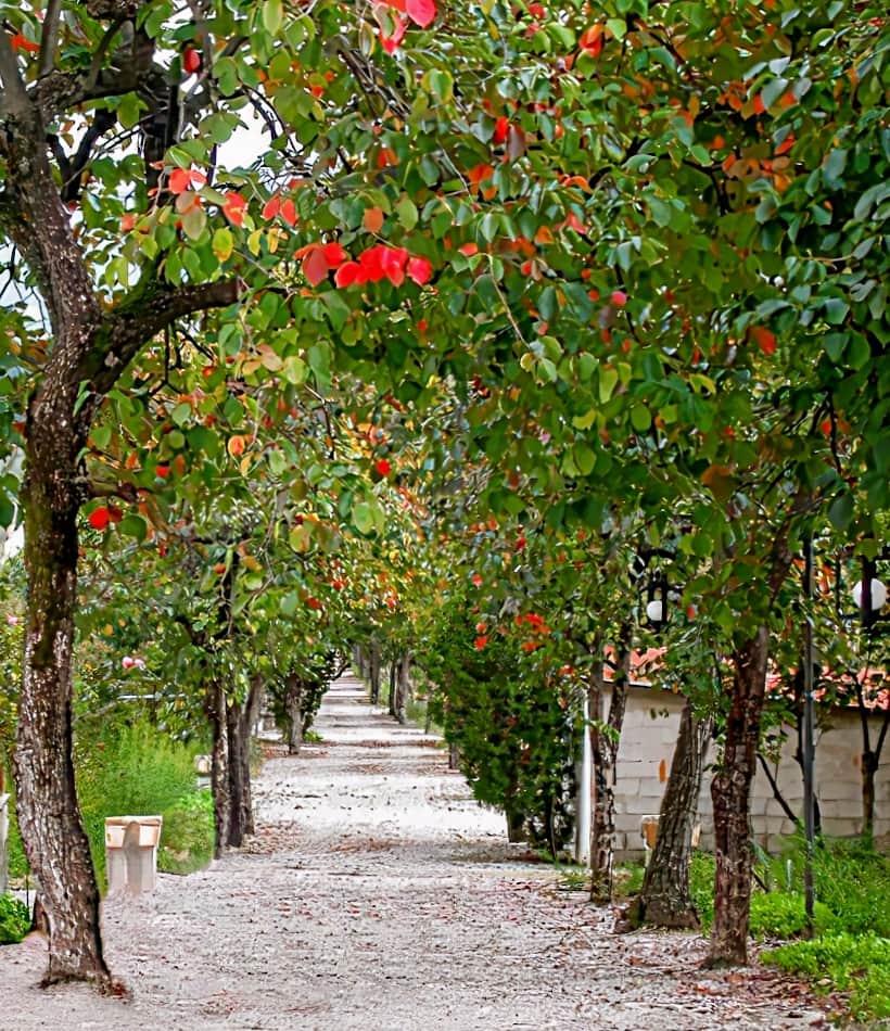 Villa Rizzo Resort & Spa