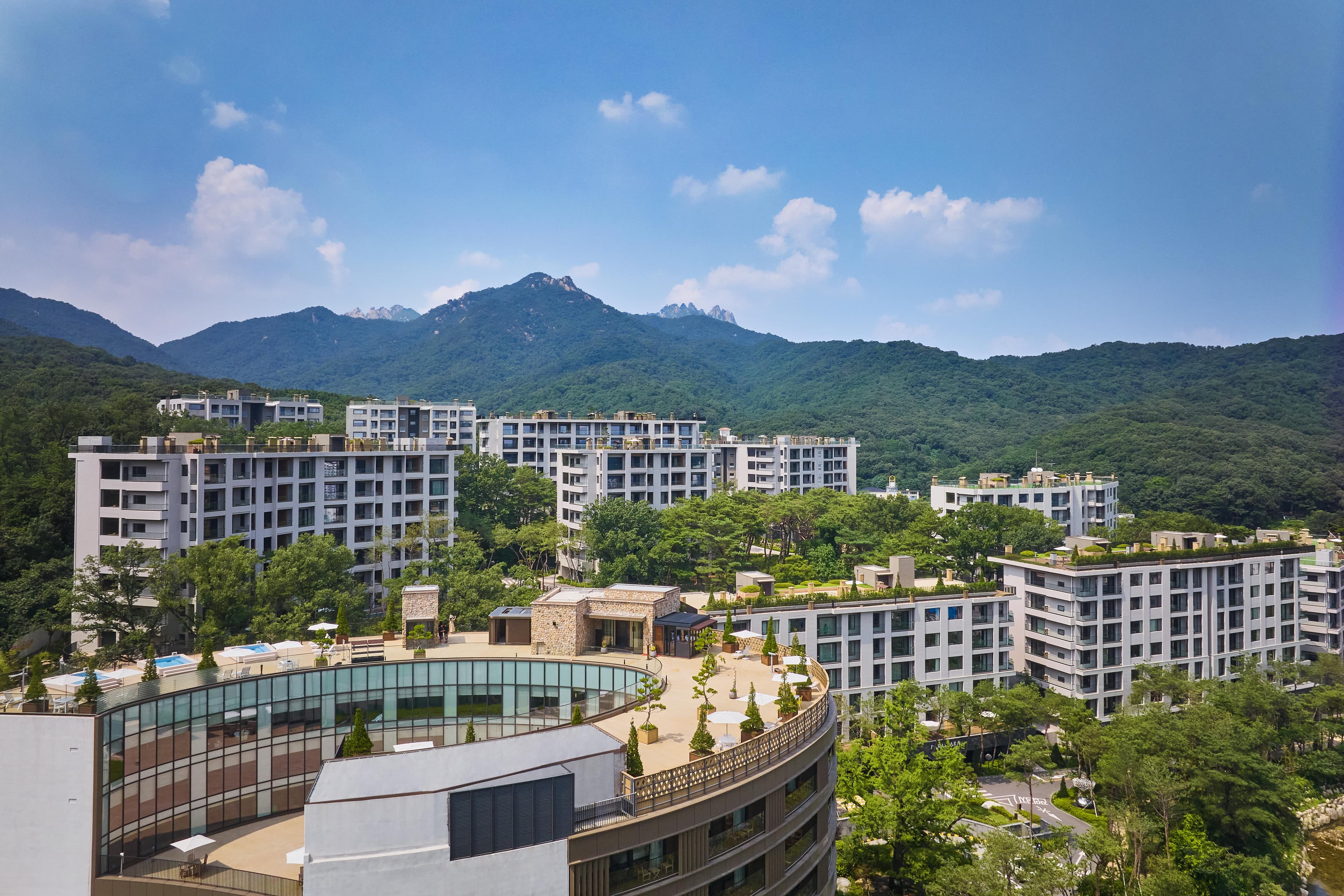 Paraspara Seoul  파라스파라 서울