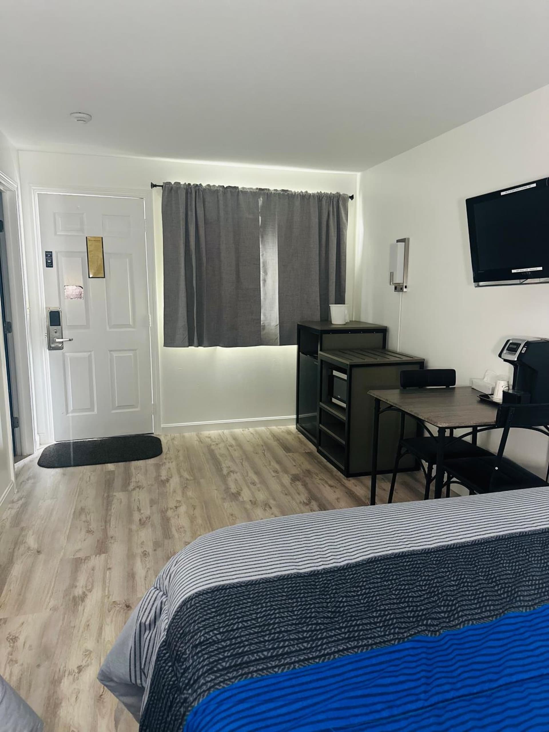 Blue Spruce