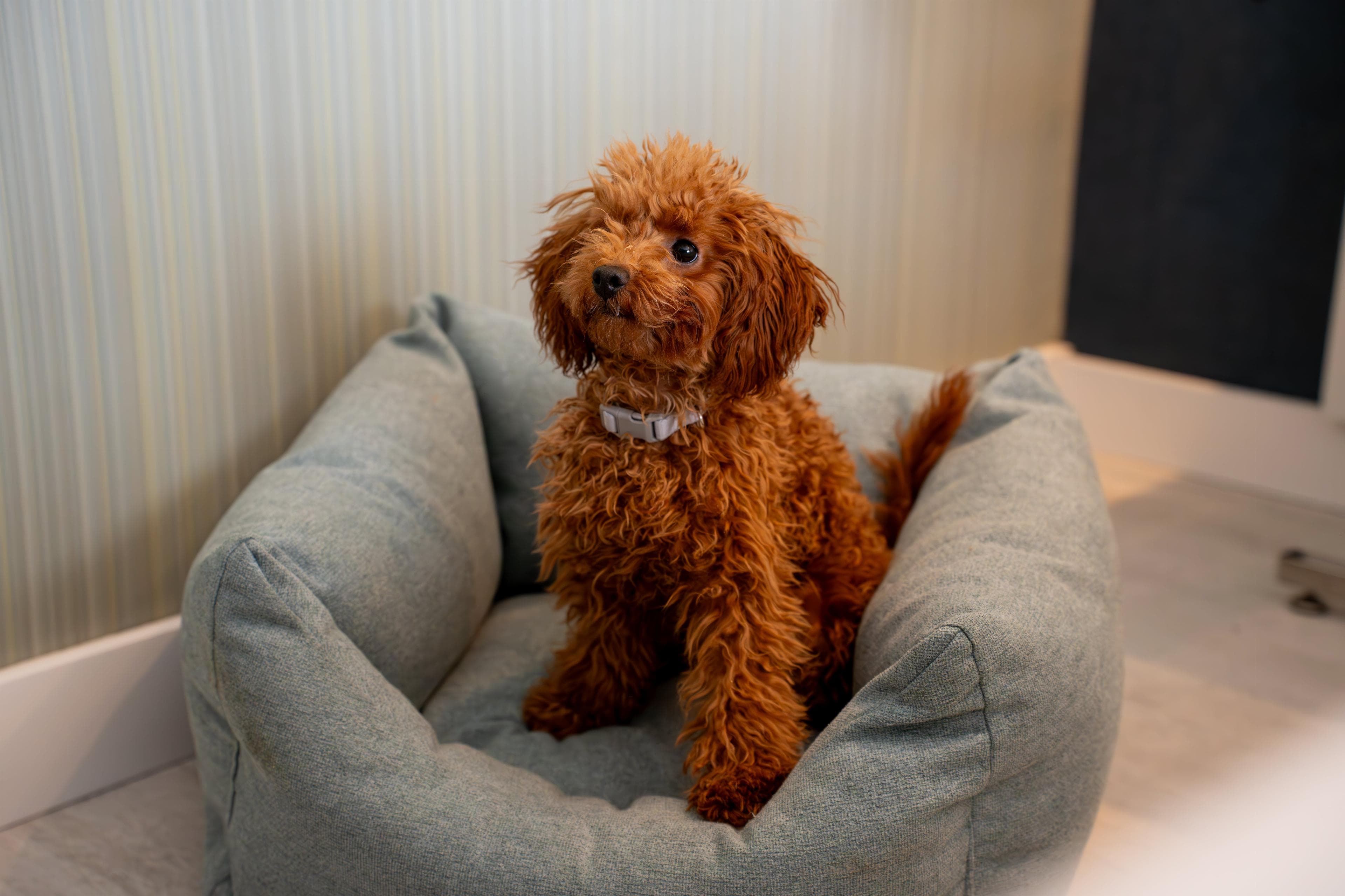 Hotel Málaga Nostrum Airport