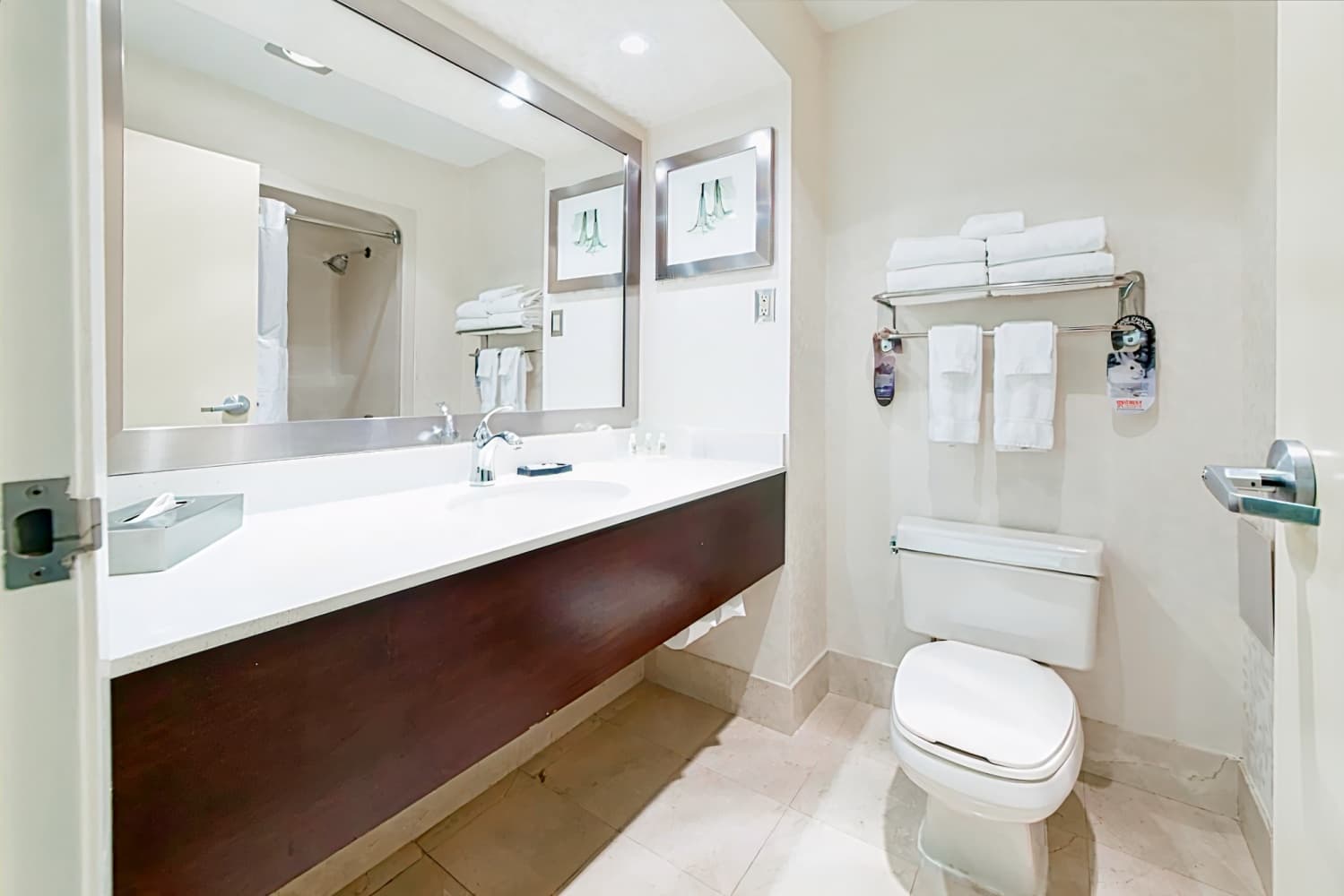 Holiday Inn & Suites Windsor – Ambassador Bridge