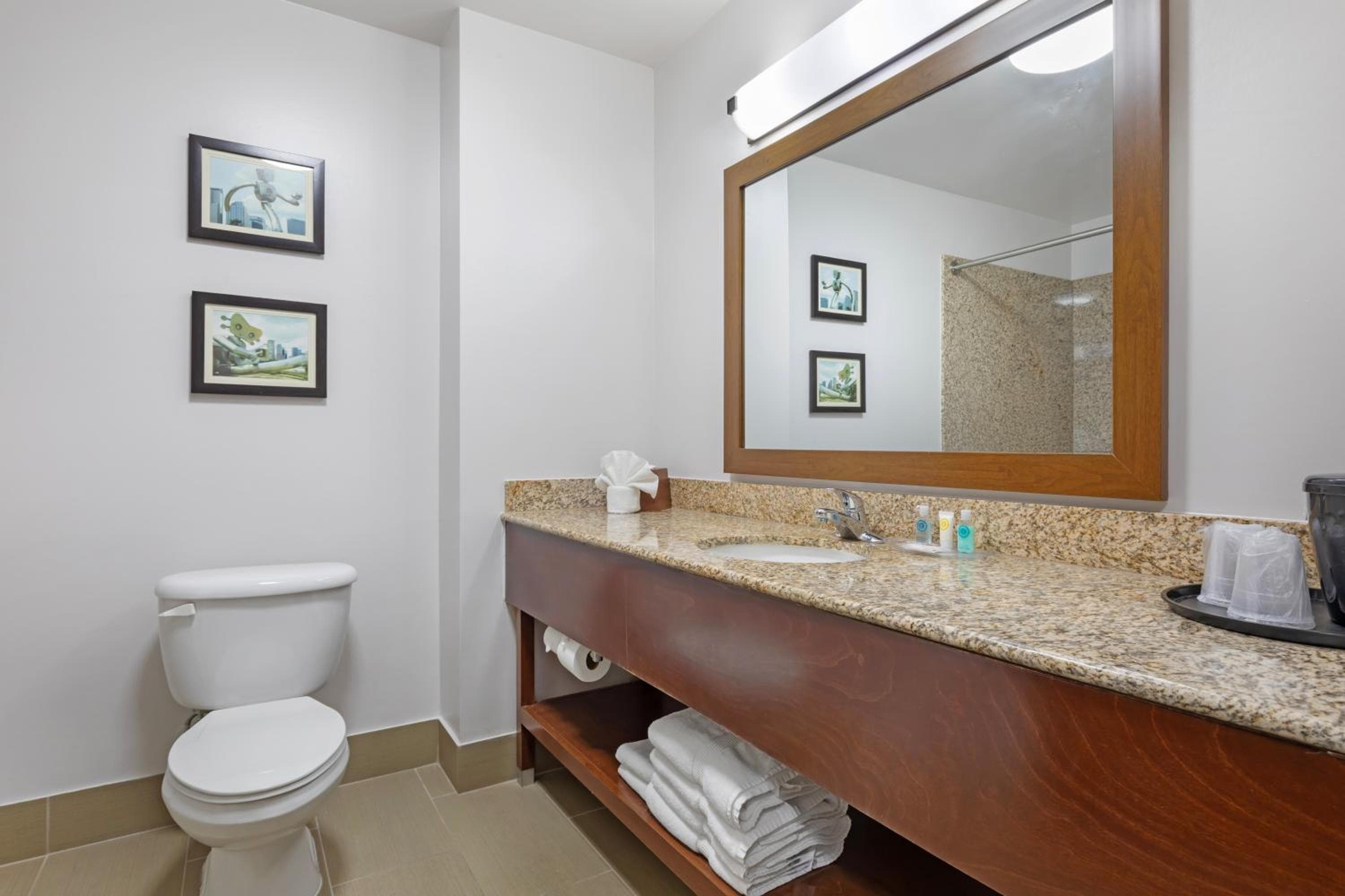 Comfort Suites DFW N-Grapevine