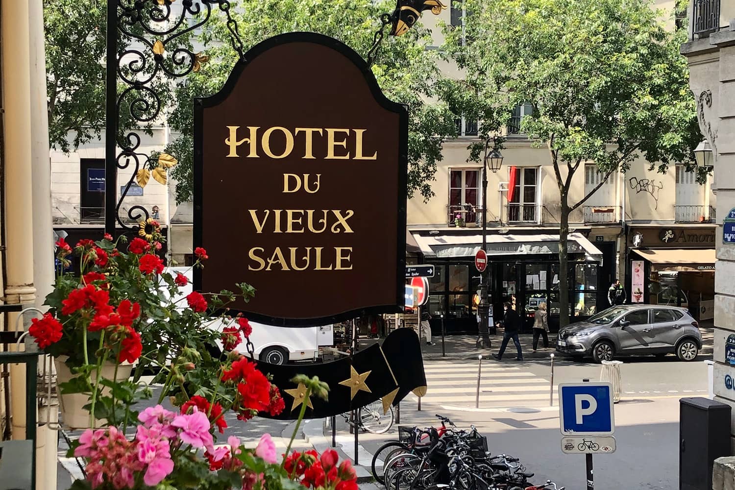 Hôtel Du Vieux Saule